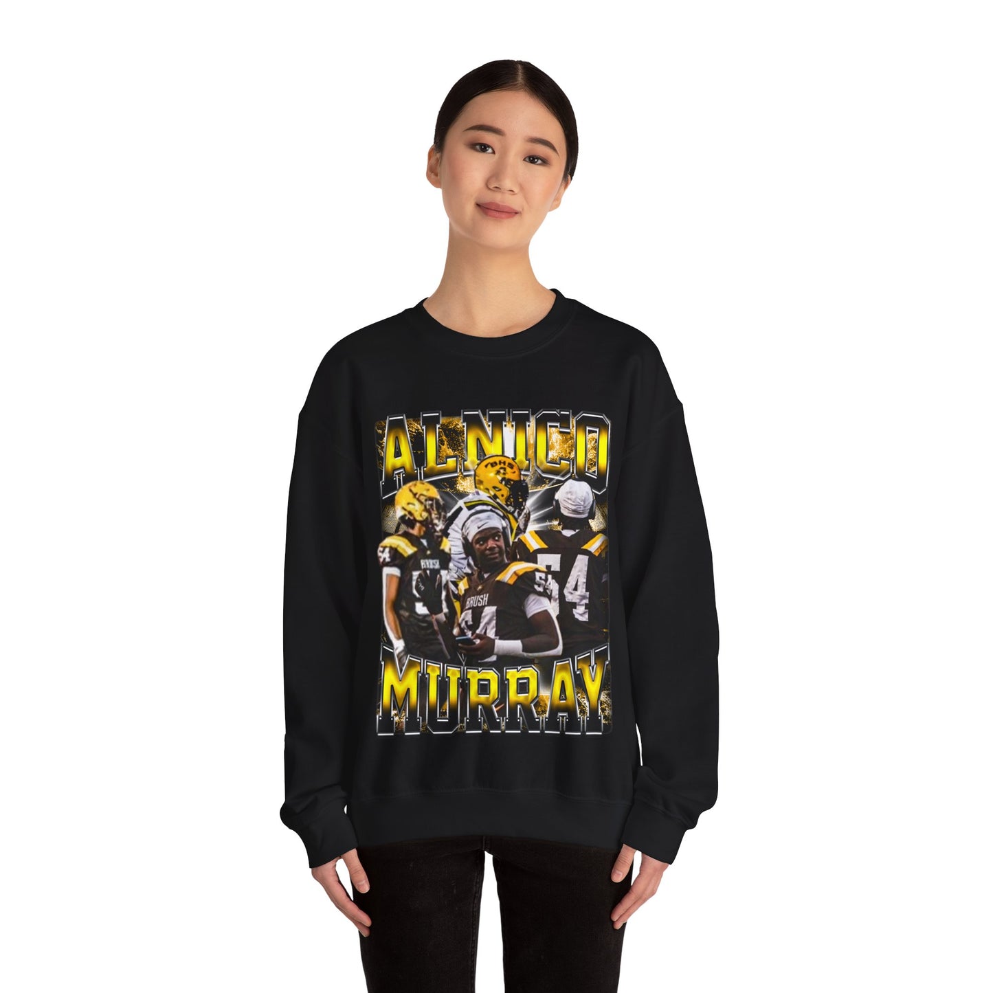Alnico Murray Crewneck Sweatshirt