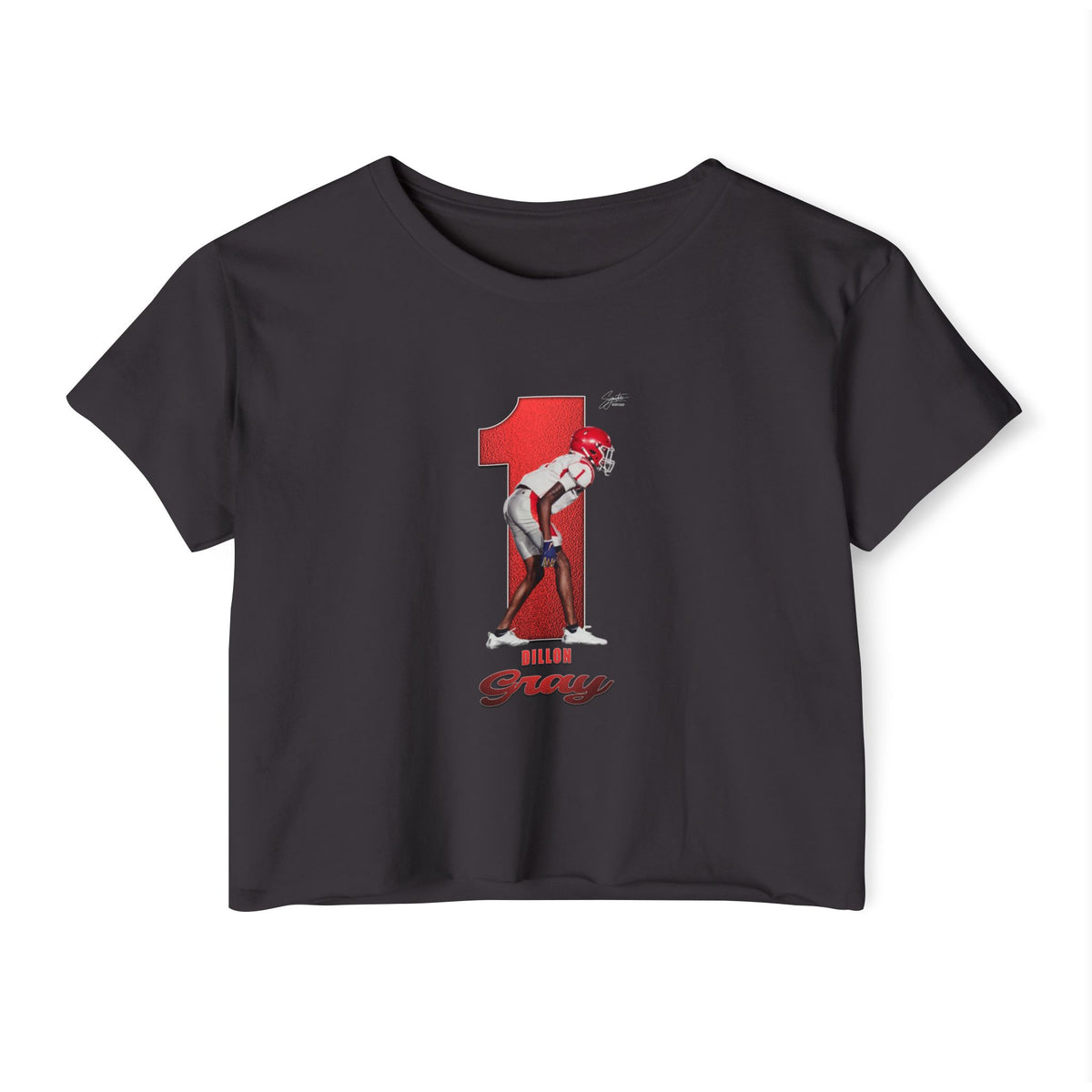 Dillon Gray Crop Top