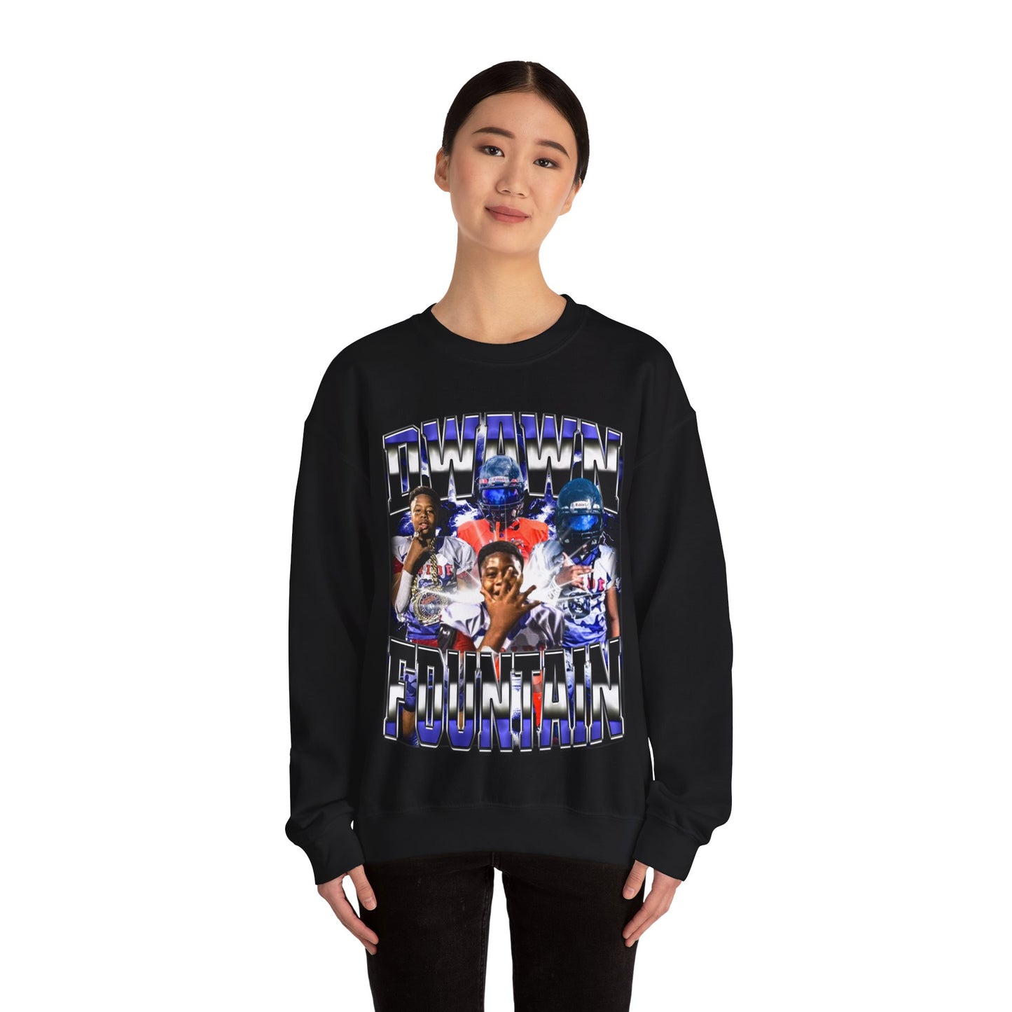 Dwawn Fountain Crewneck Sweatshirt