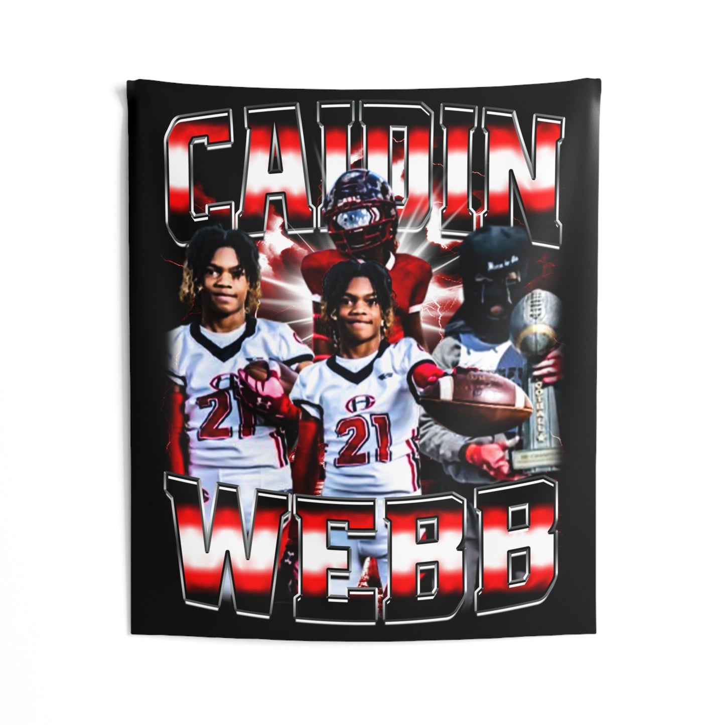 Caidin Webb Tapestry 50” x 60”