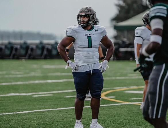 Willie Jackson Jr