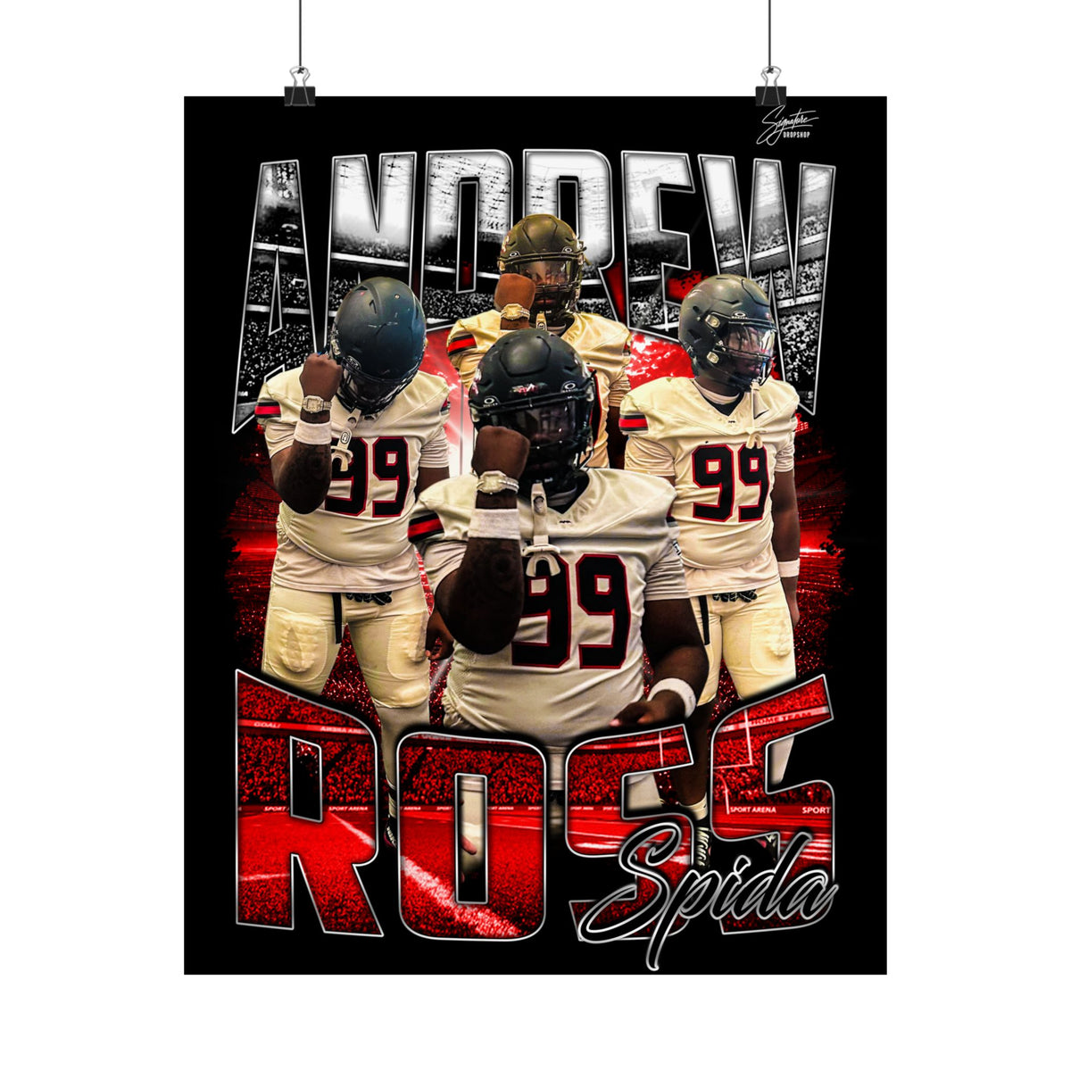 Andrew Ross Posters