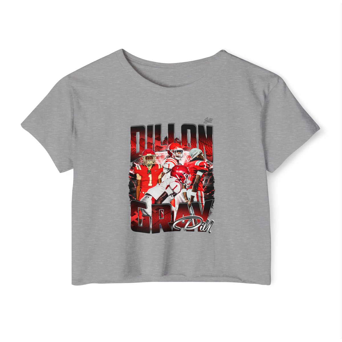Dillon Gray Crop Top