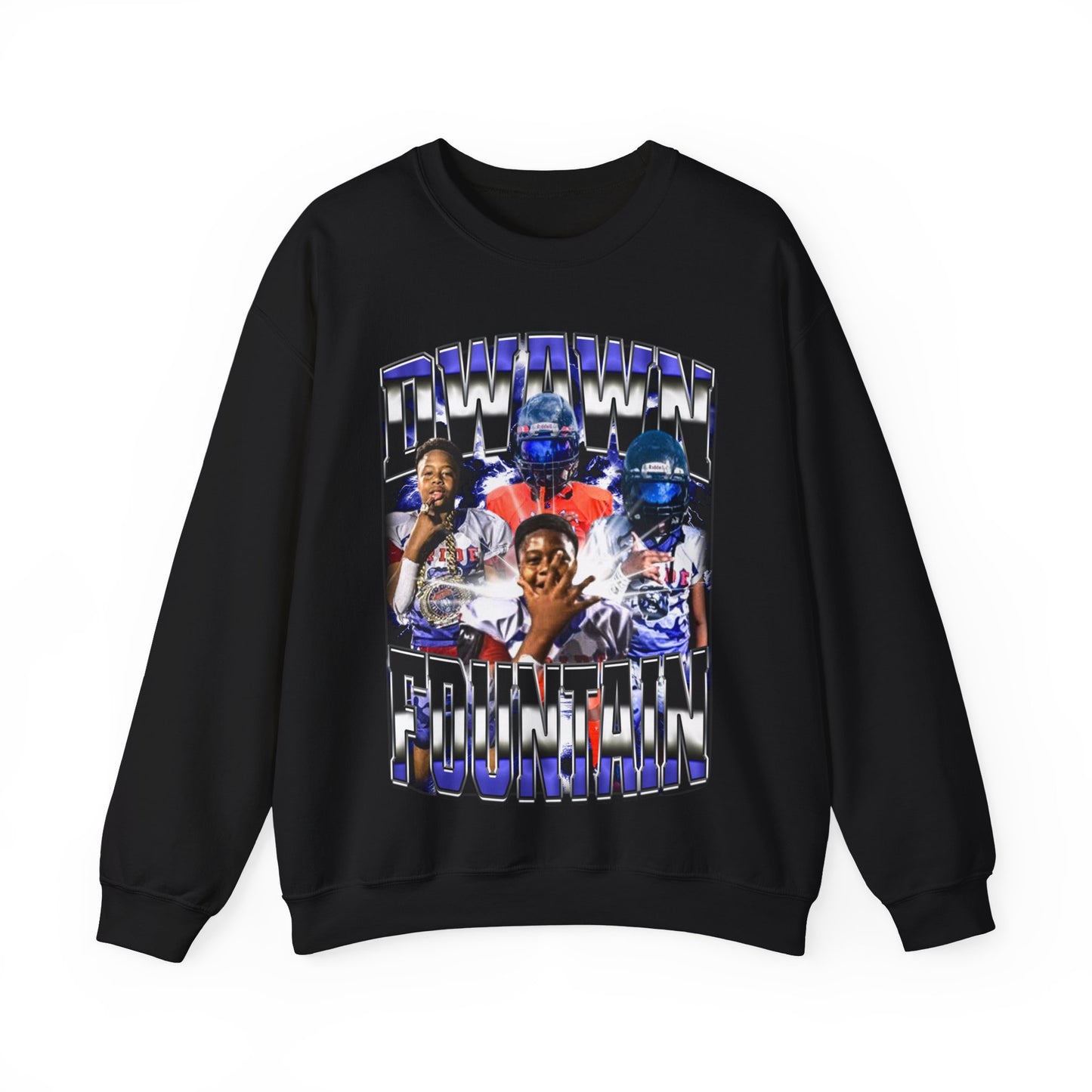 Dwawn Fountain Crewneck Sweatshirt