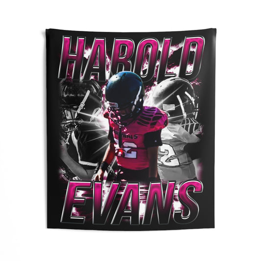 Harold Evans Tapestry 50” x 60”