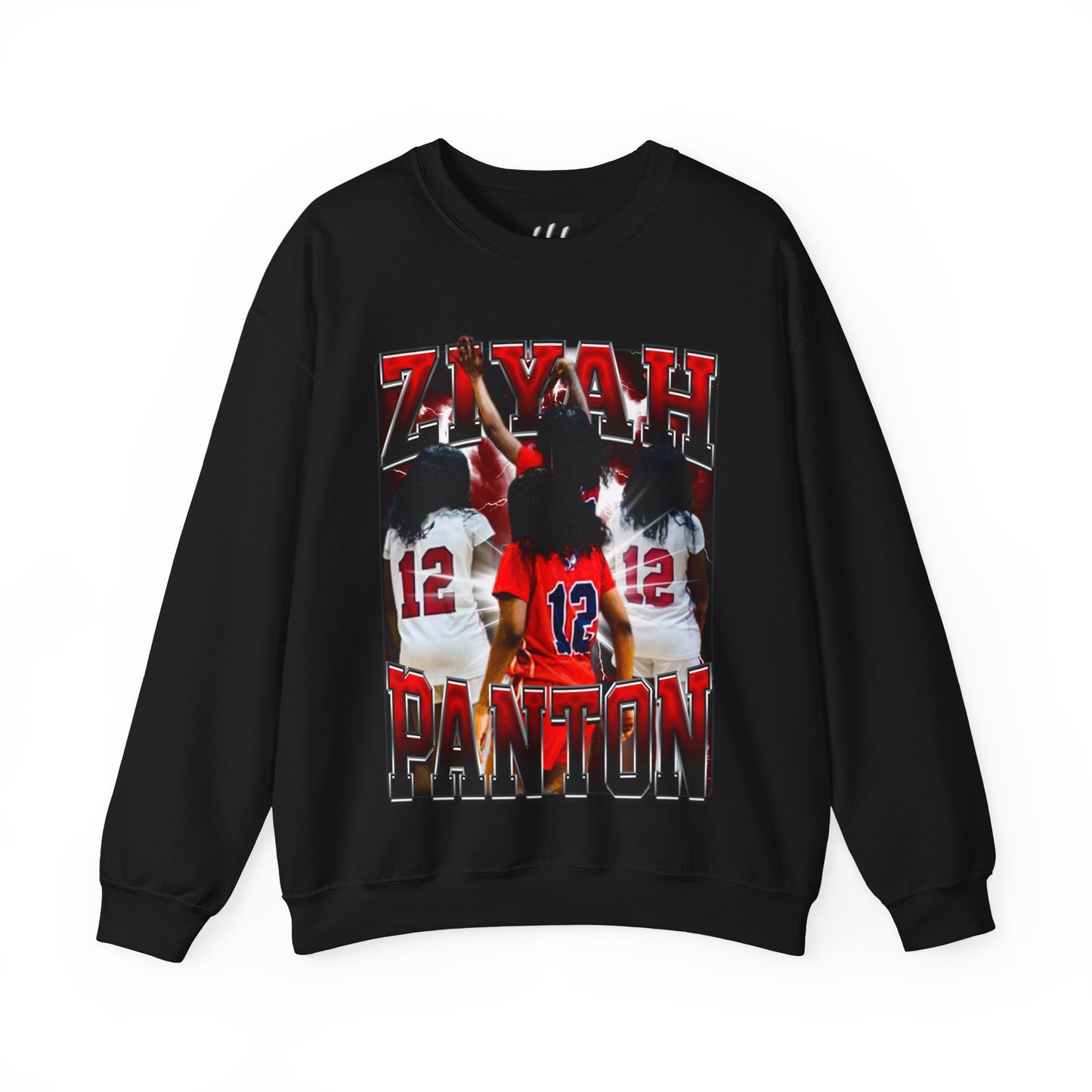 Ziyah Panton Crewneck Sweatshirt