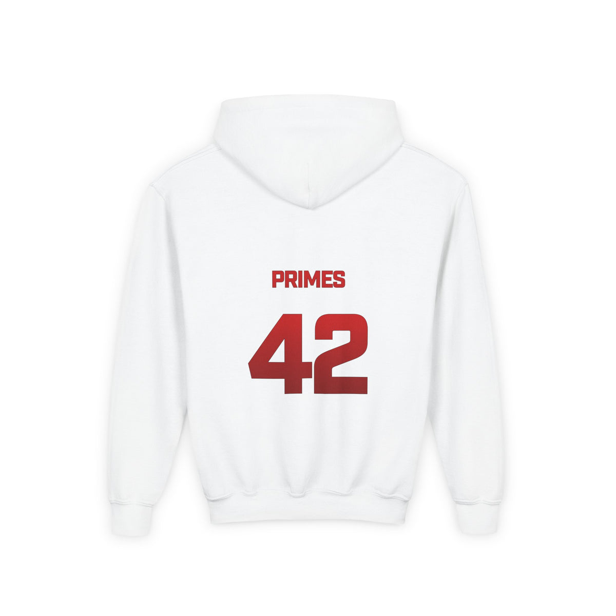 Ddarrin primes Youth Hoodie