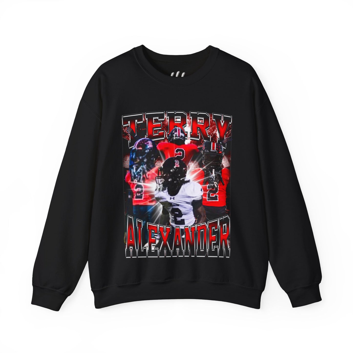 Terry Alexander Crewneck Sweatshirt
