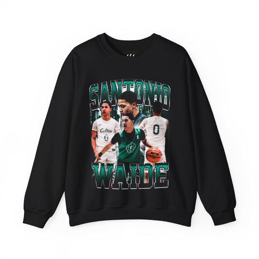 Santonio Waide Crewneck Sweatshirt