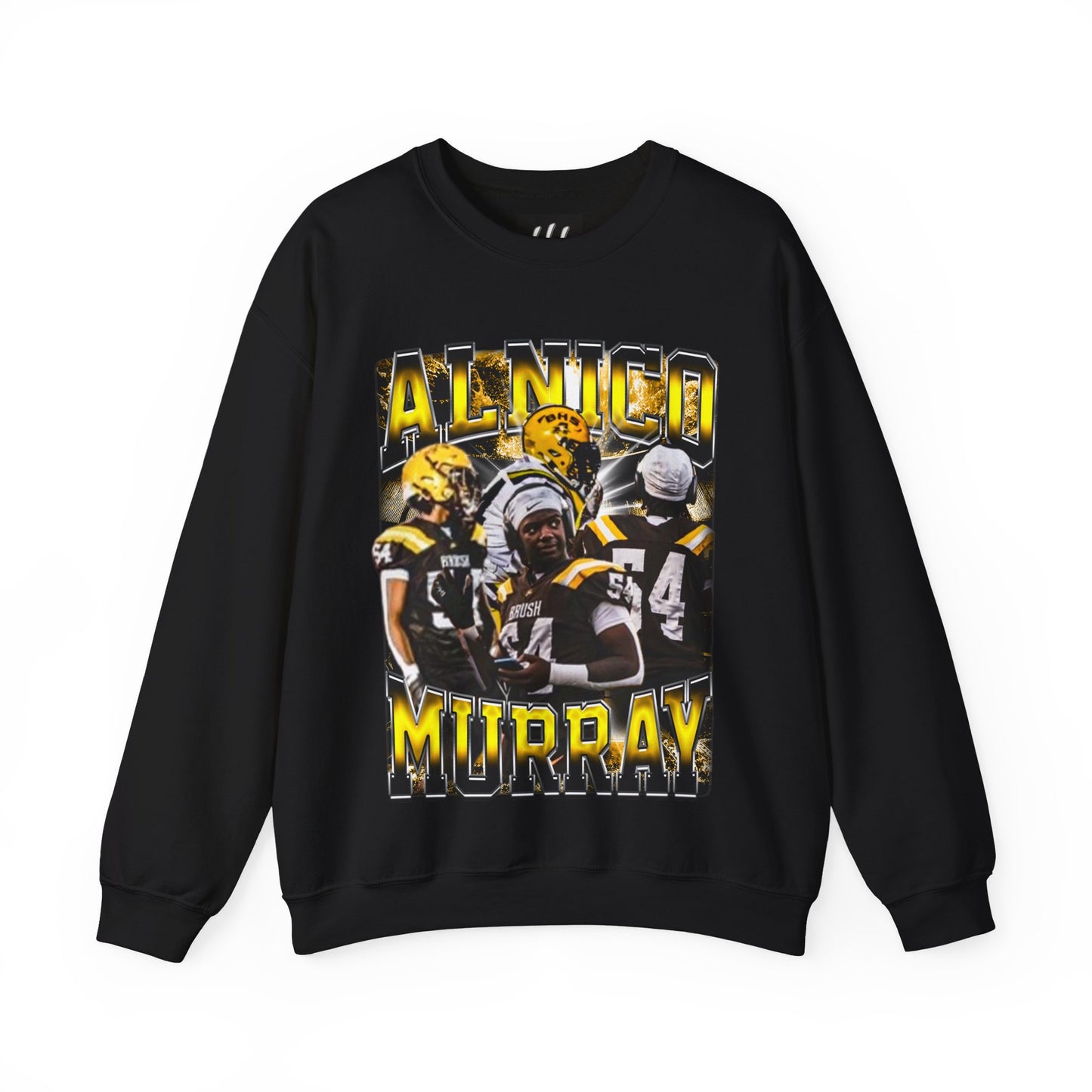 Alnico Murray Crewneck Sweatshirt