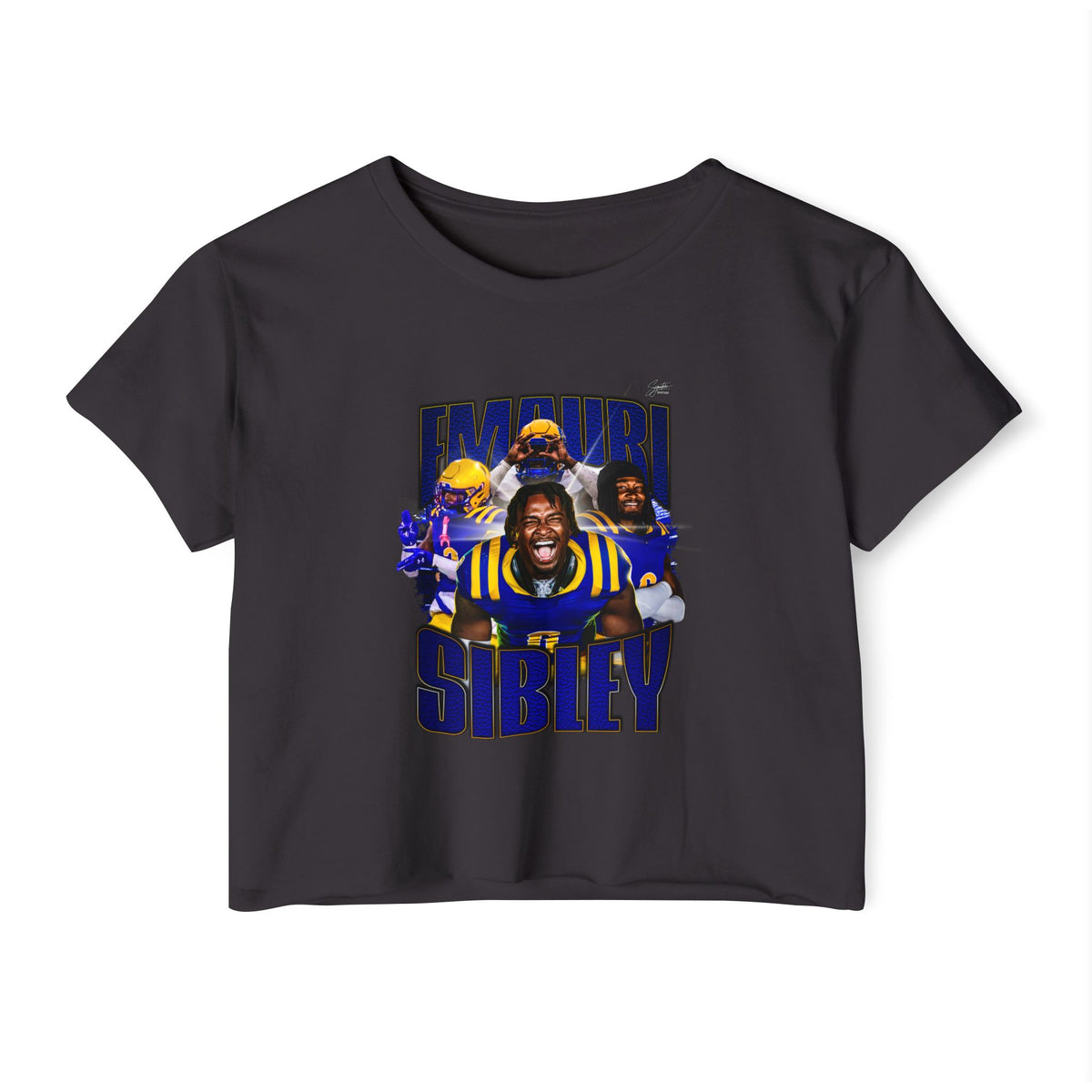 Emauri Sibley Crop Top