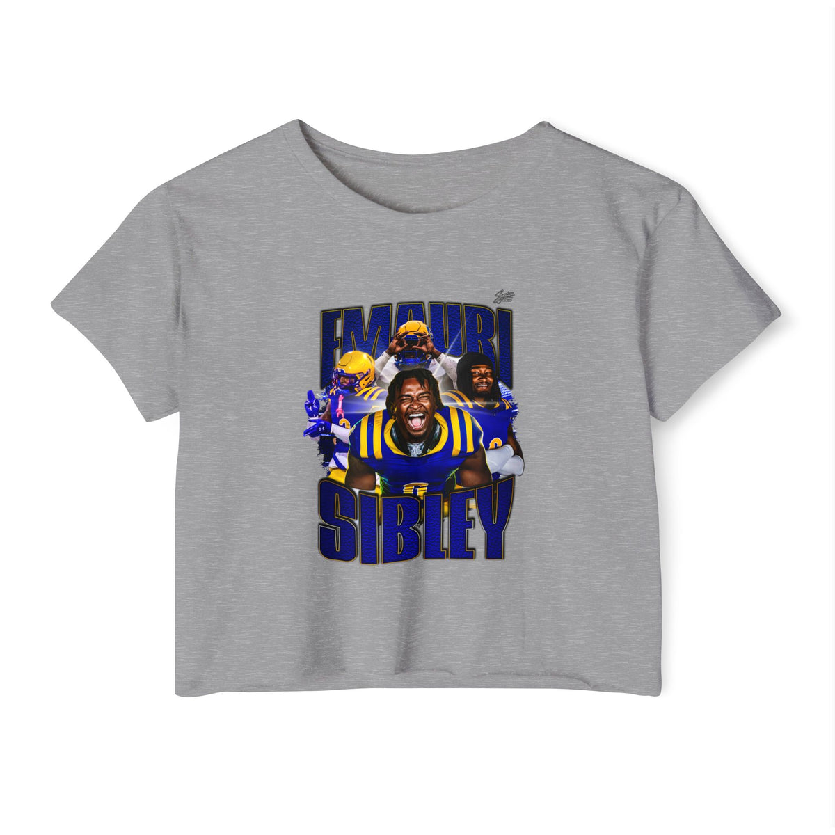Emauri Sibley Crop Top