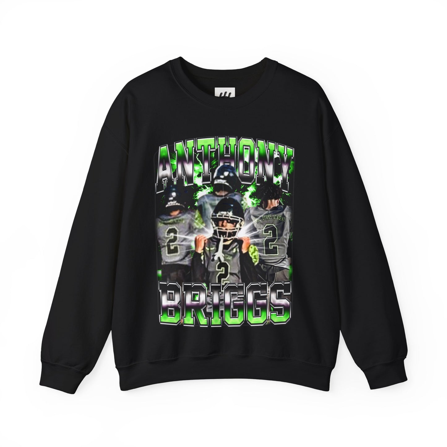 Anthony Briggs Crewneck Sweatshirt
