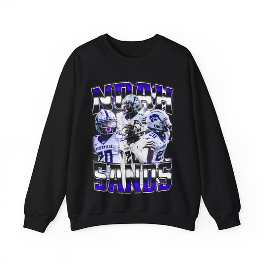 Noah Sands Crewneck Sweatshirt