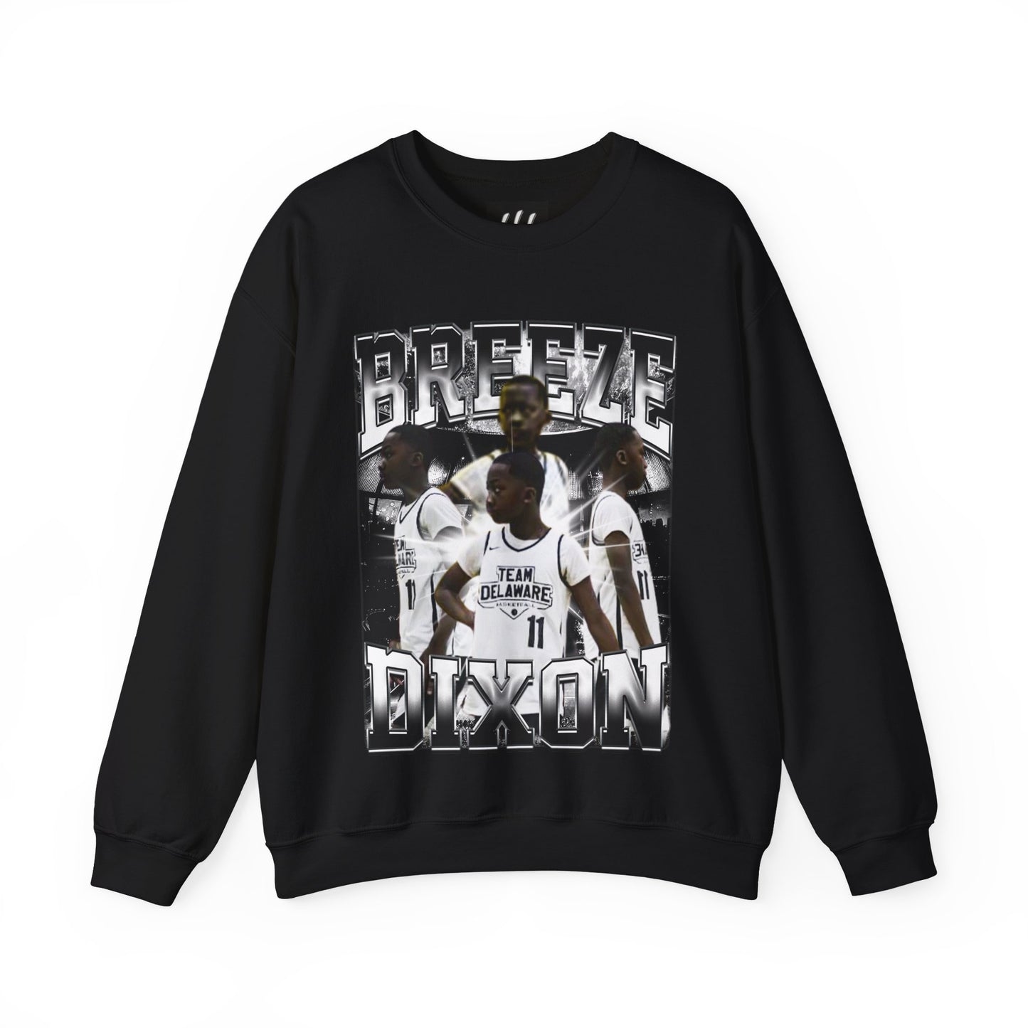 Breeze Dixon Crewneck Sweatshirt