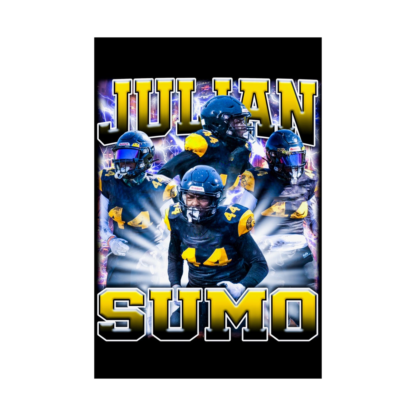 Julian Sumo Poster 24" x 36"