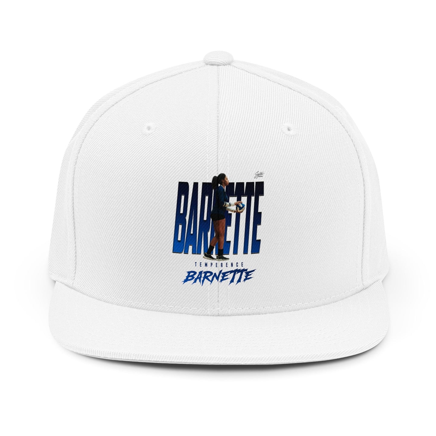 Temperence Barneyye Snapback Hat