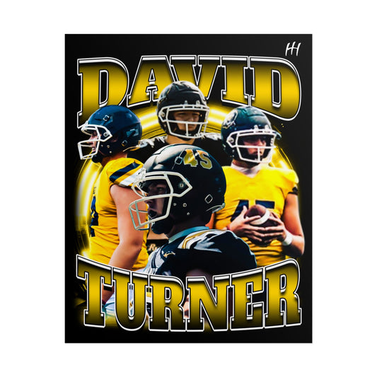 DAVID TURNER Posters