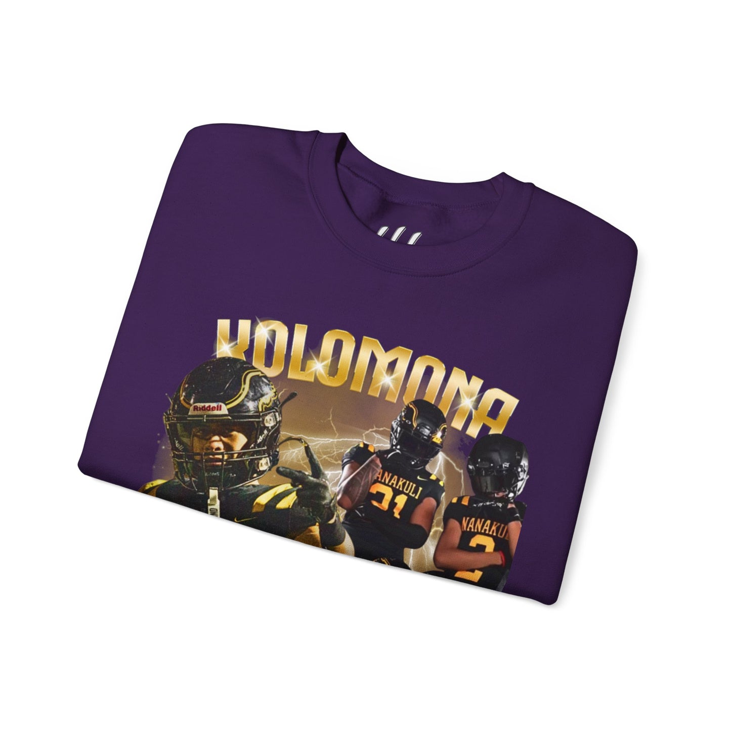 Aleka Crewneck Sweatshirt
