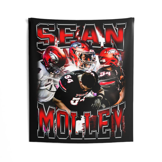 Sean Molley Tapestry 50” x 60”