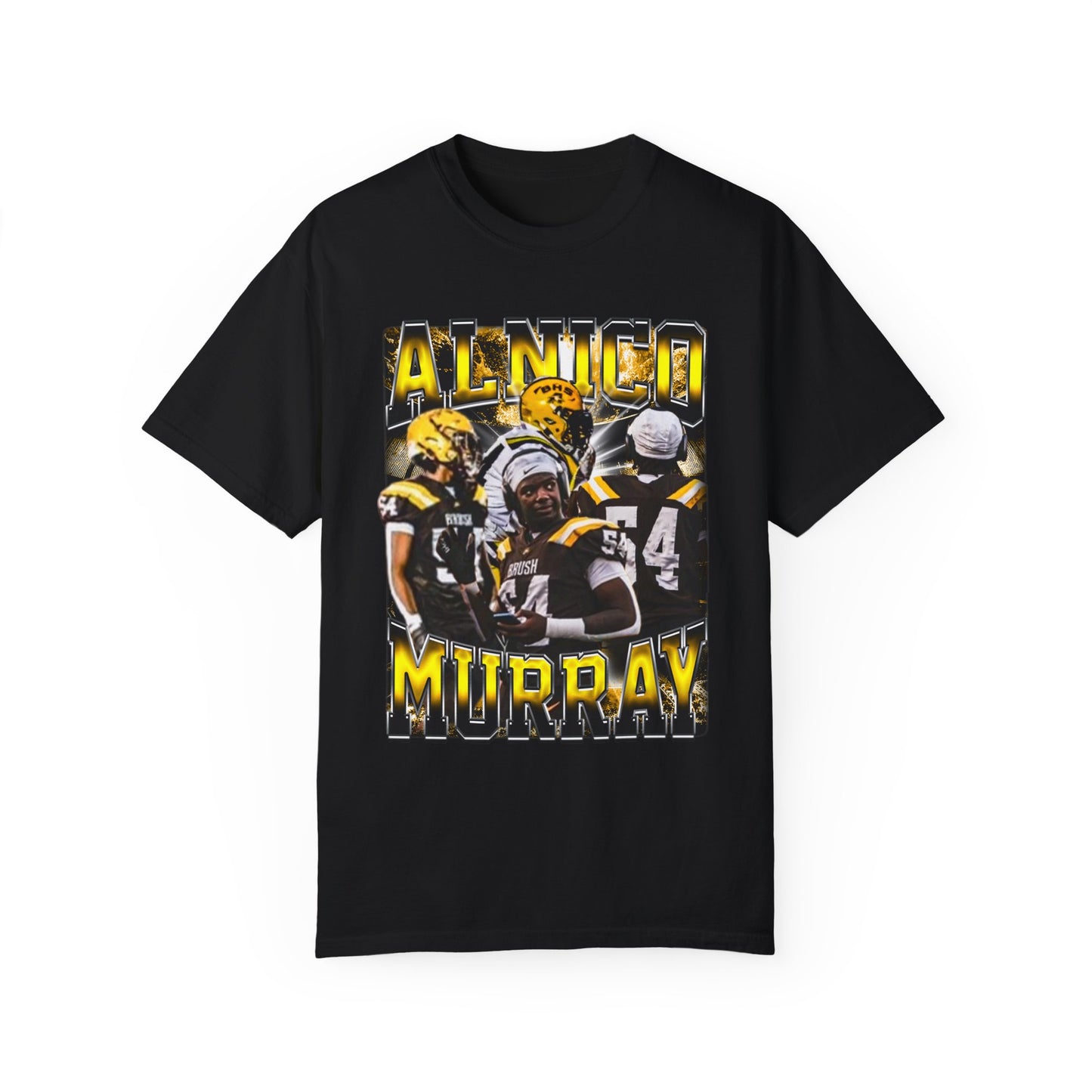 Alnico Murray Heavyweight Premium Tee
