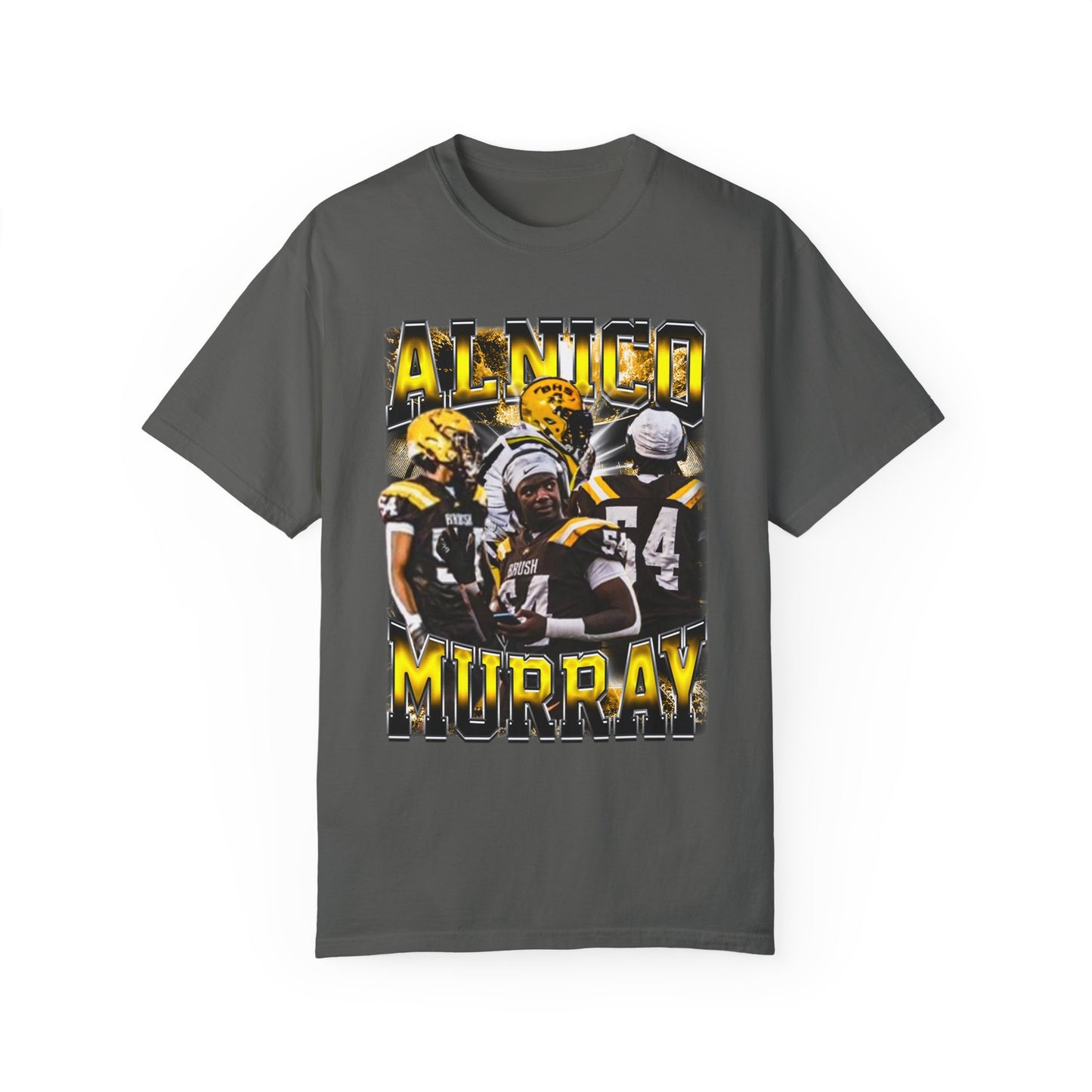 Alnico Murray Heavyweight Premium Tee