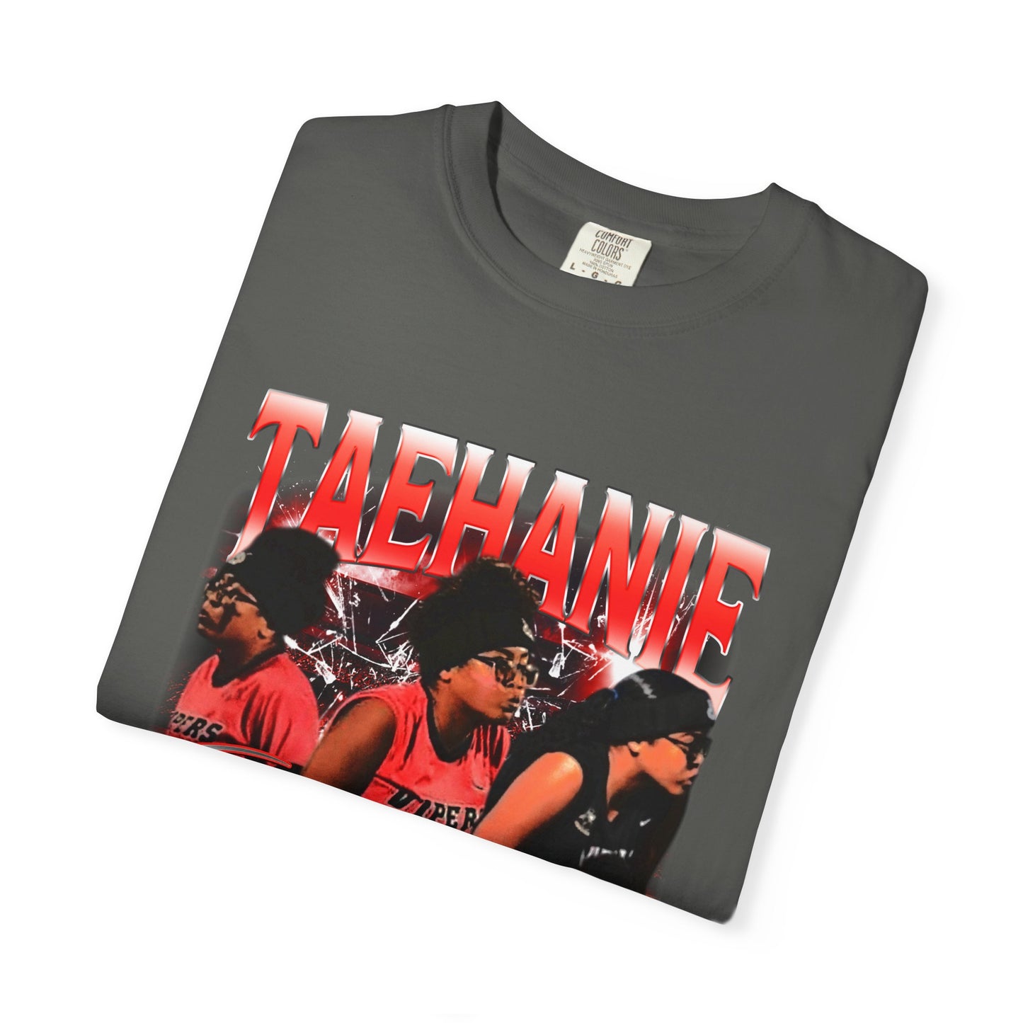 Taehanie Scott Heavyweight Premium Tee