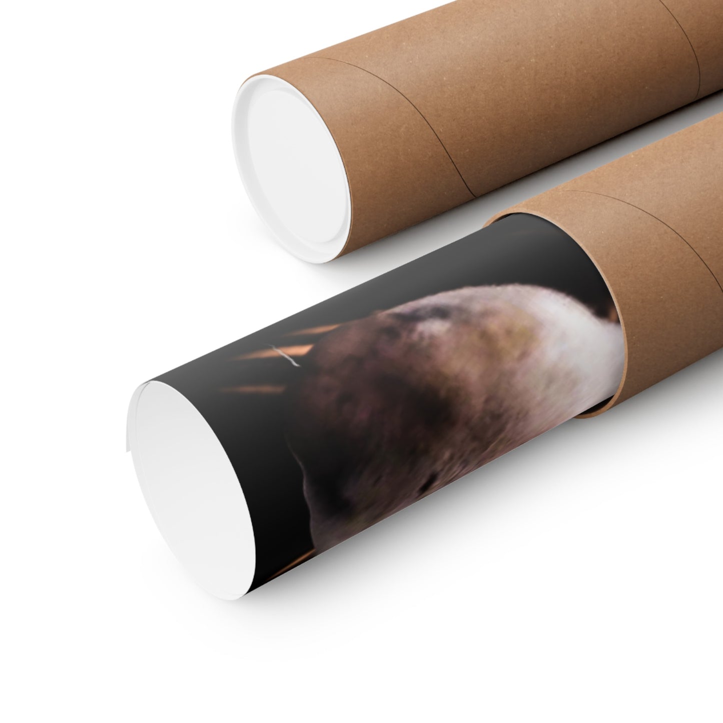 Scout Poster 24" x 36"
