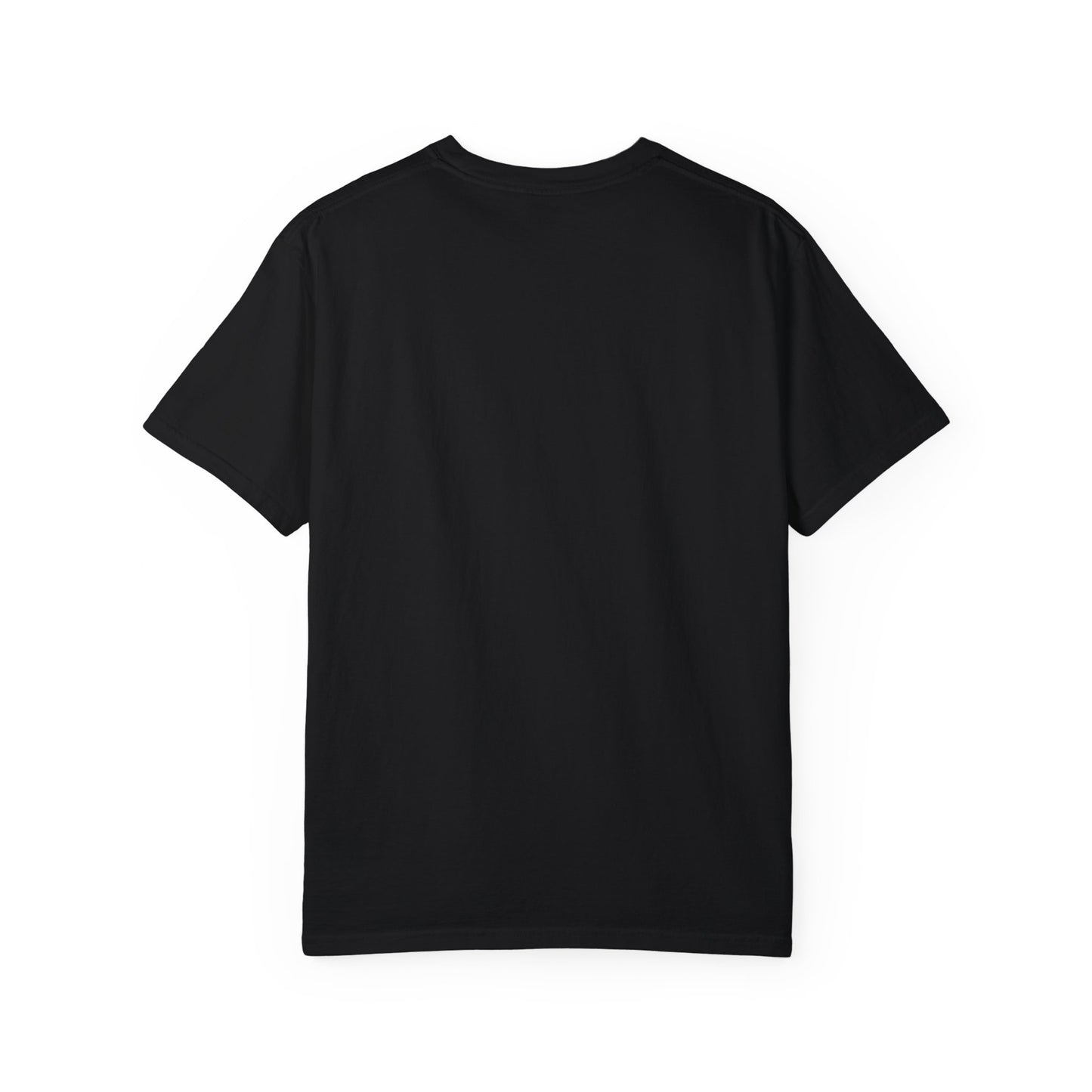 Darius Stevens Unisex Garment-Dyed T-shirt