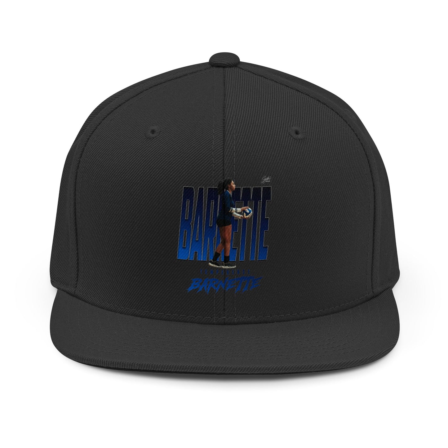 Temperence Barneyye Snapback Hat