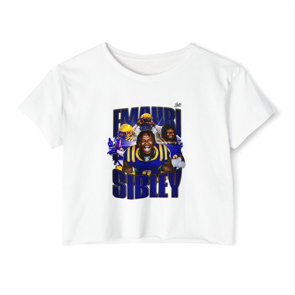Emauri Sibley Crop Top