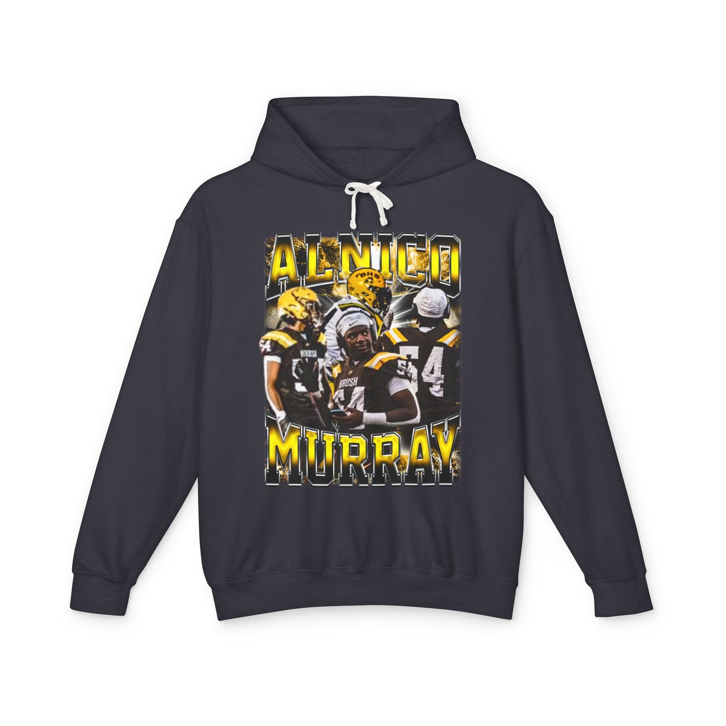 Alnico Murray Hoodie