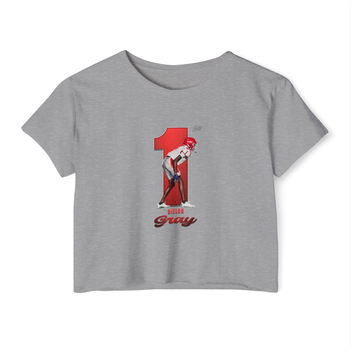 Dillon Gray Crop Top