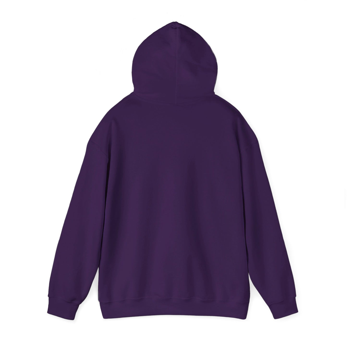 IBN Muhammad Hoodie