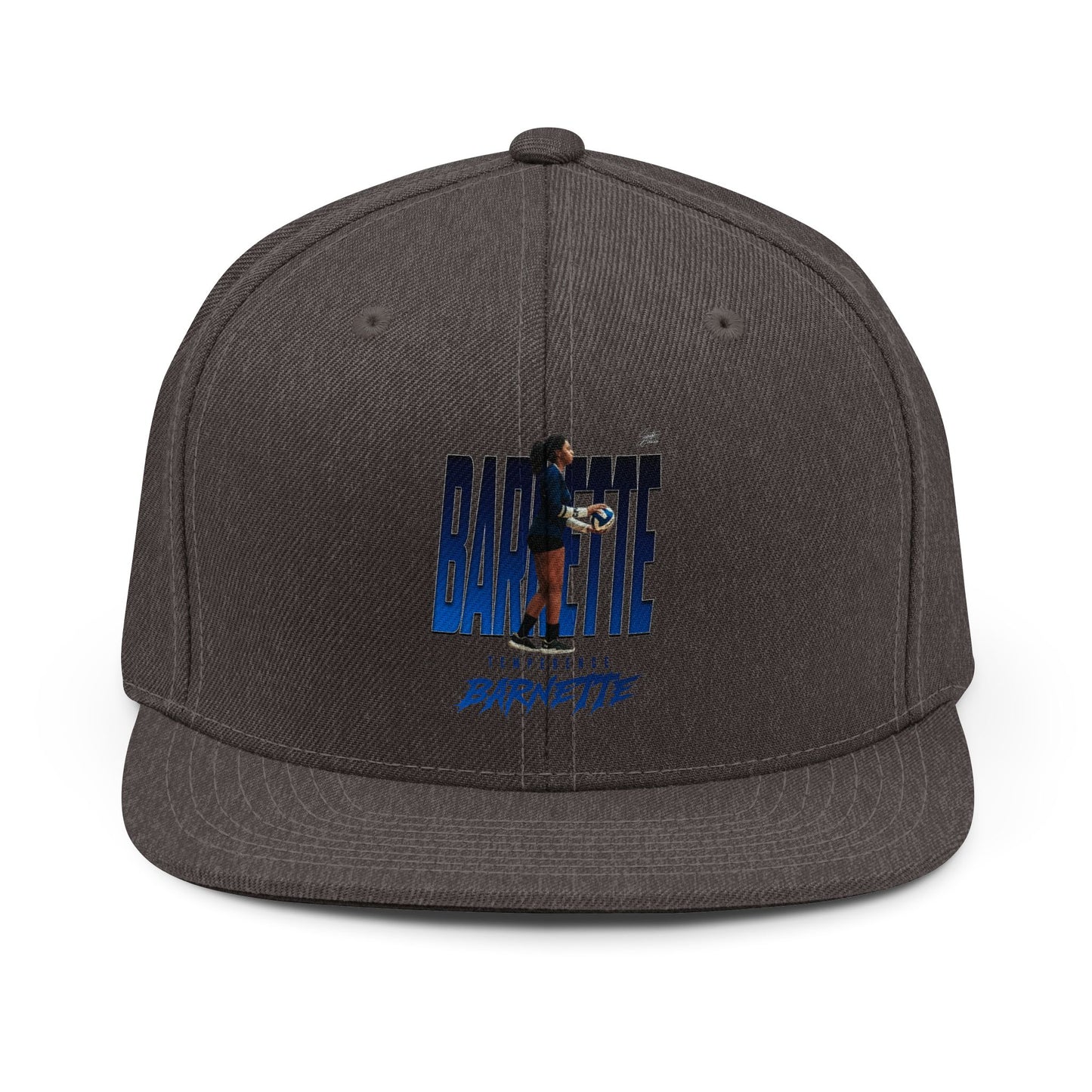 Temperence Barneyye Snapback Hat