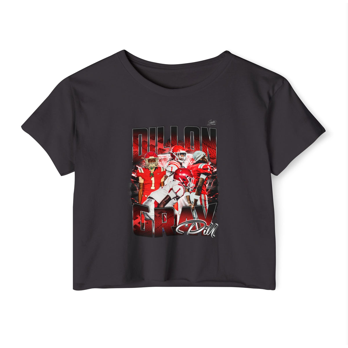 Dillon Gray Crop Top