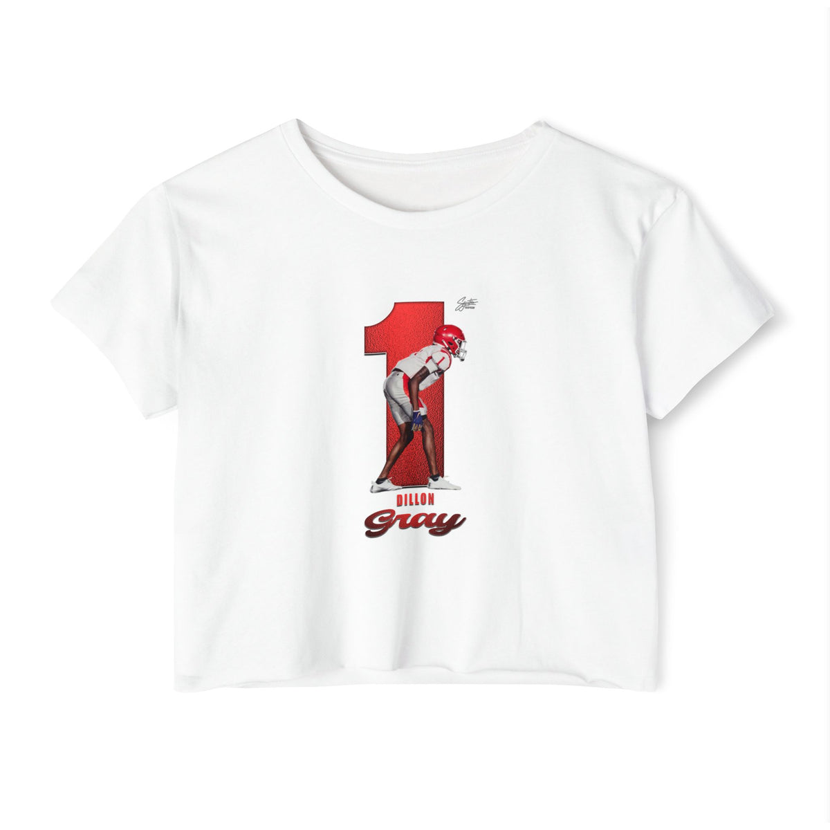 Dillon Gray Crop Top