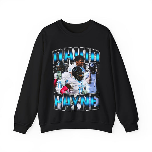 David Payne Crewneck Sweatshirt