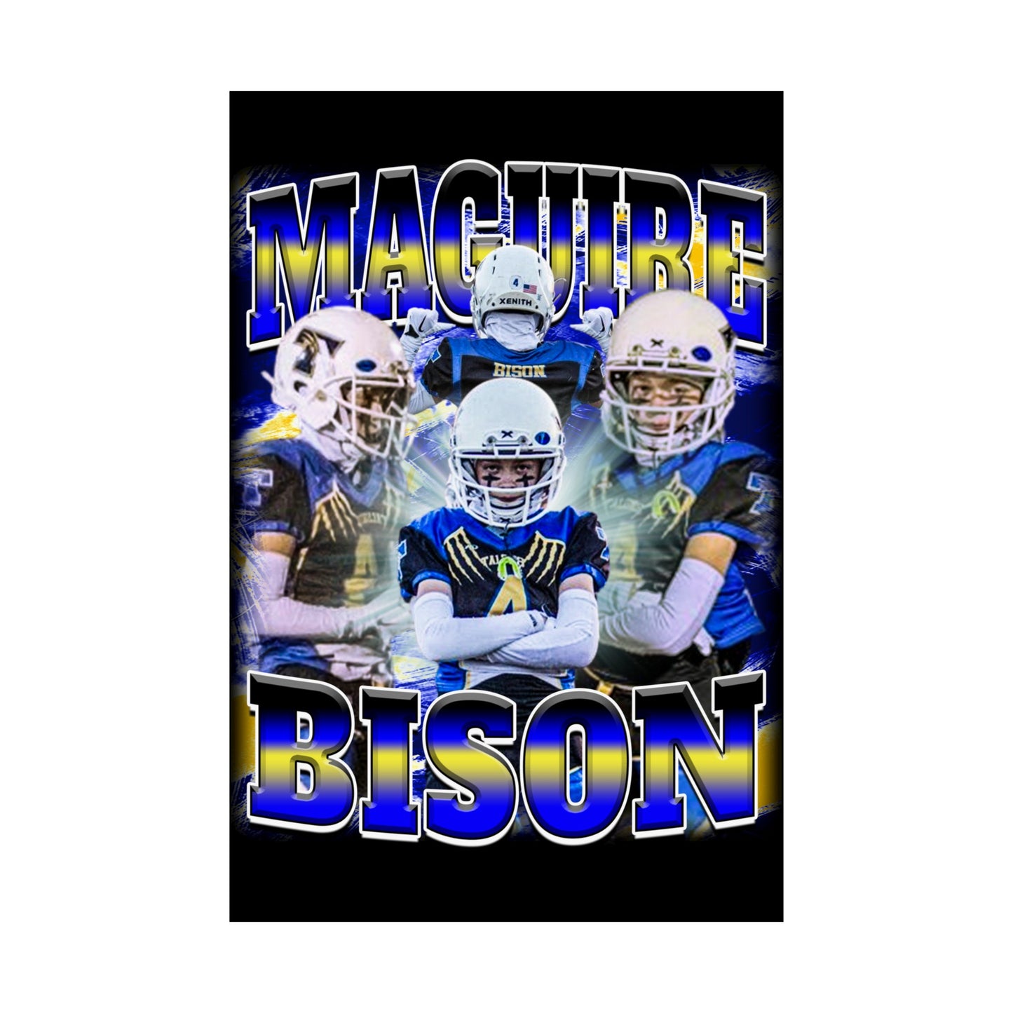 Maguire Bison Poster 24" x 36"
