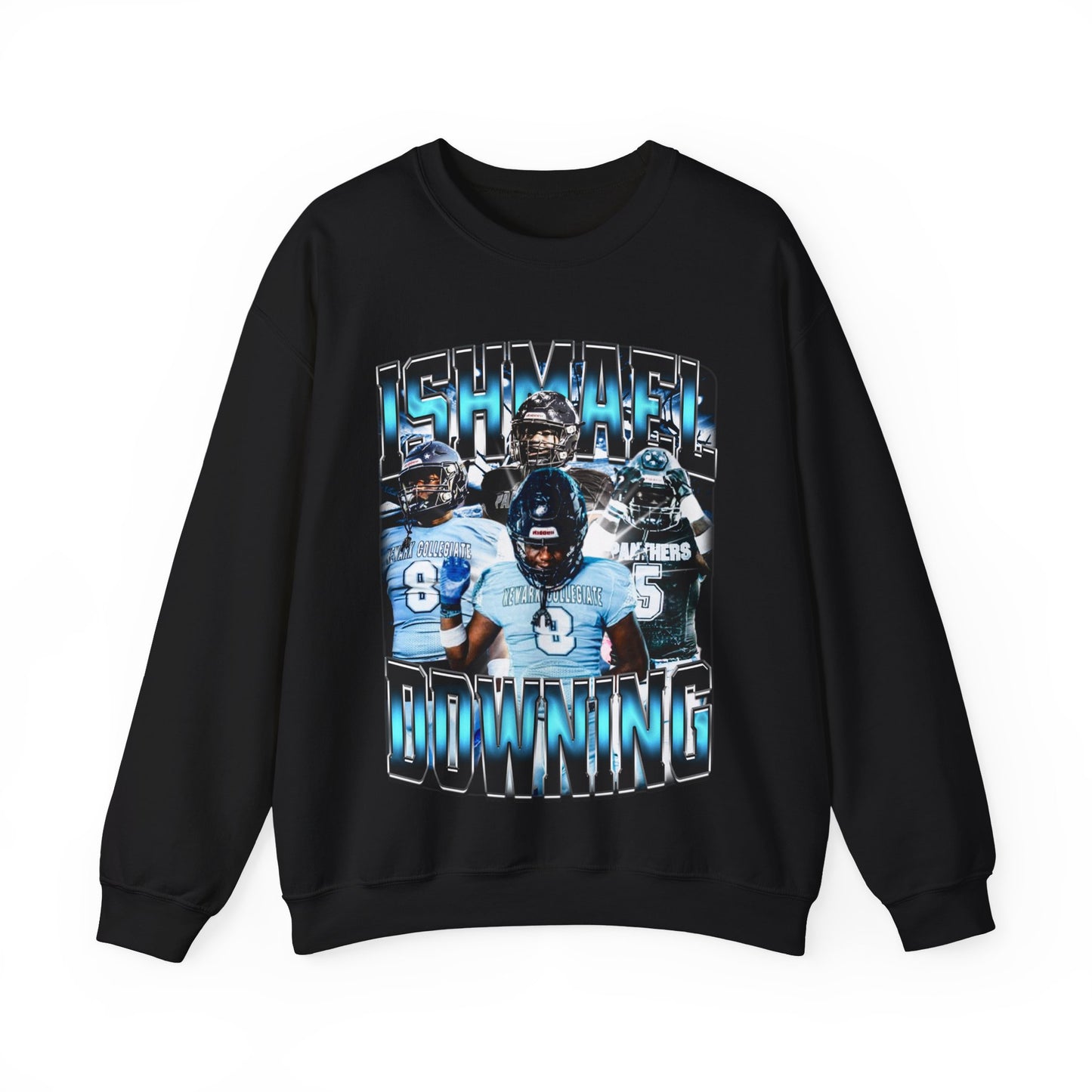 Ishmael Downing Crewneck Sweatshirt