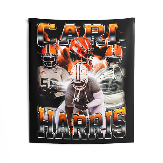 Carl Harris Tapestry 50” x 60”