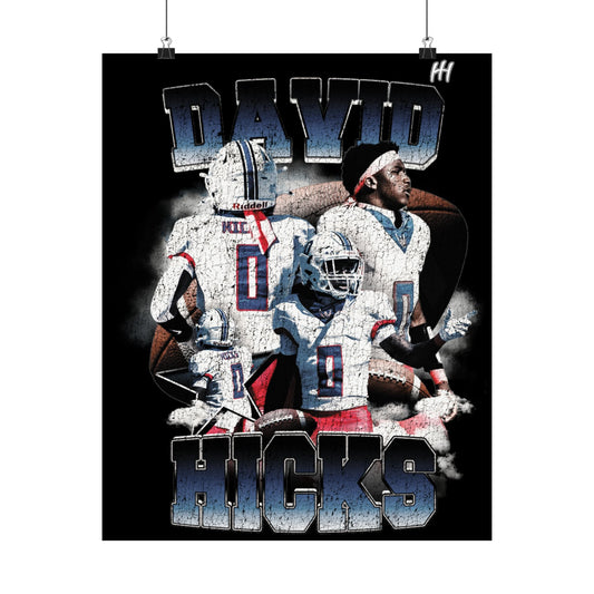 David Hicks Poster - 16″ x 20″