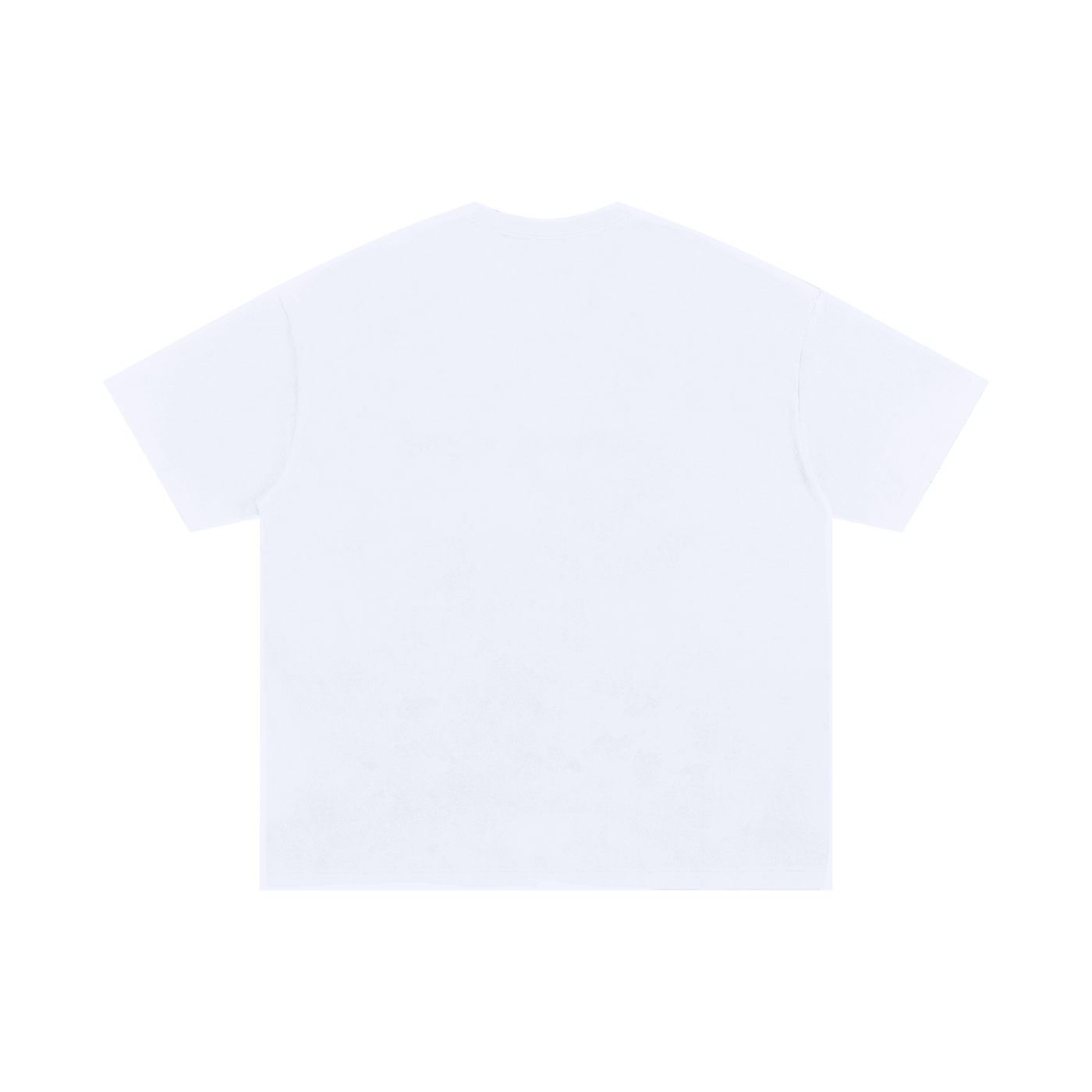Jadens journey Oversized Regular Tee